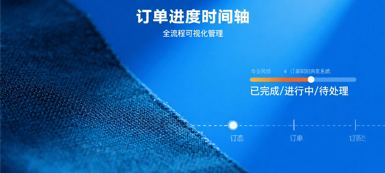 进度分析报告